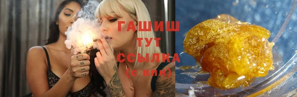хмурый Аркадак