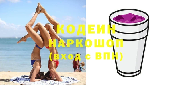 хмурый Аркадак