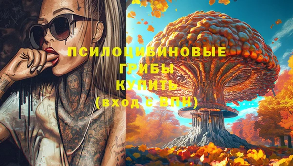 мет Арсеньев