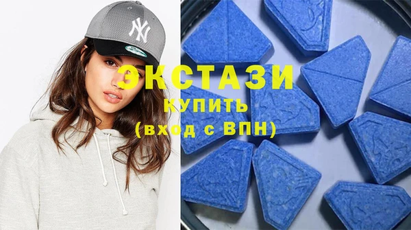 хмурый Аркадак