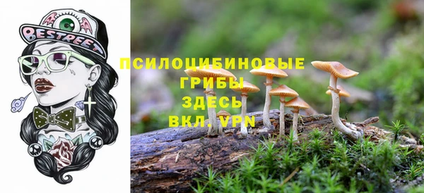 мет Арсеньев