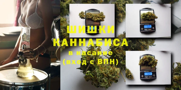 хмурый Аркадак