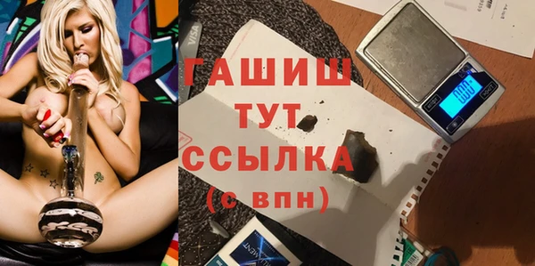 хмурый Аркадак
