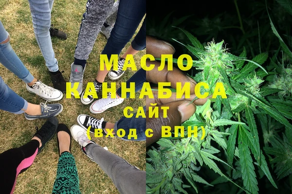 хмурый Аркадак