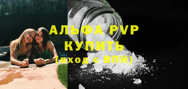 хмурый Аркадак