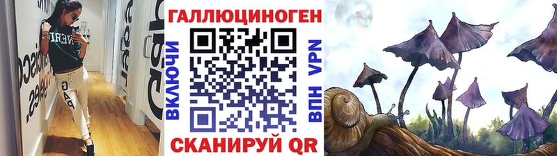 блэк спрут маркетплейс  Волгоград  Галлюциногенные грибы Magic Shrooms 